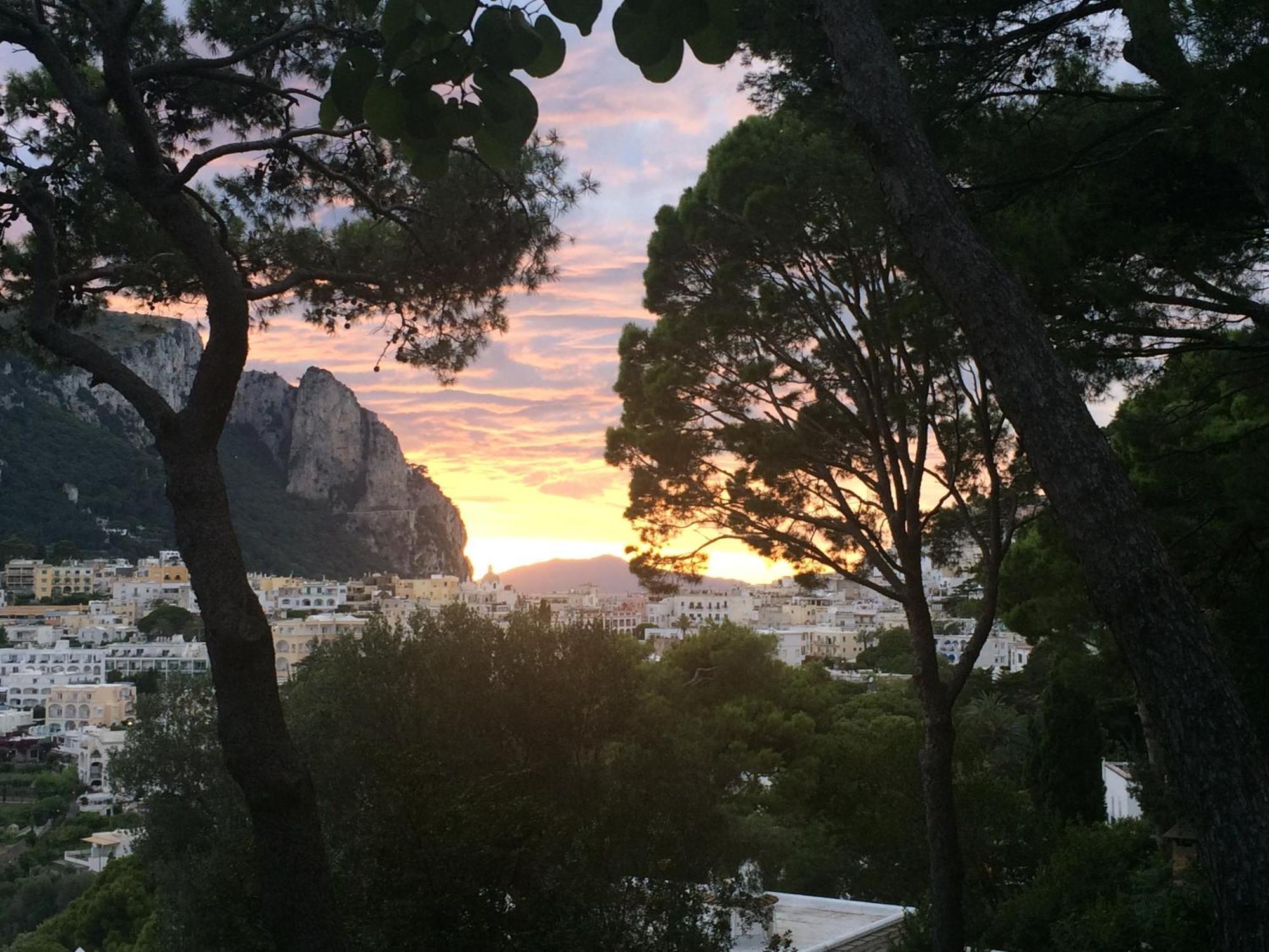 Villa Guya Κάπρι Εξωτερικό φωτογραφία