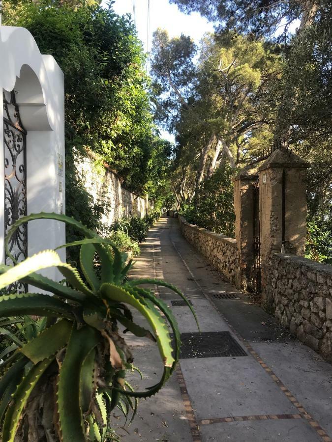 Villa Guya Κάπρι Εξωτερικό φωτογραφία